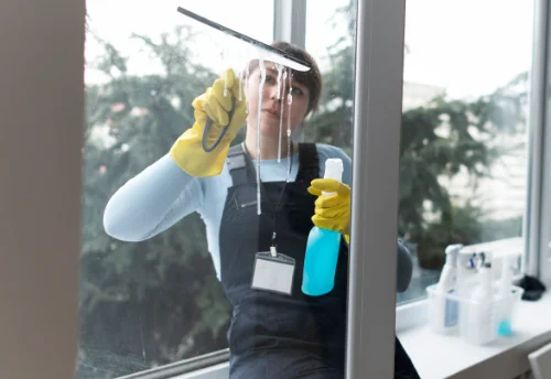 Nettoyage de vitres intérieures et extérieures à Bruc-sur-Aff